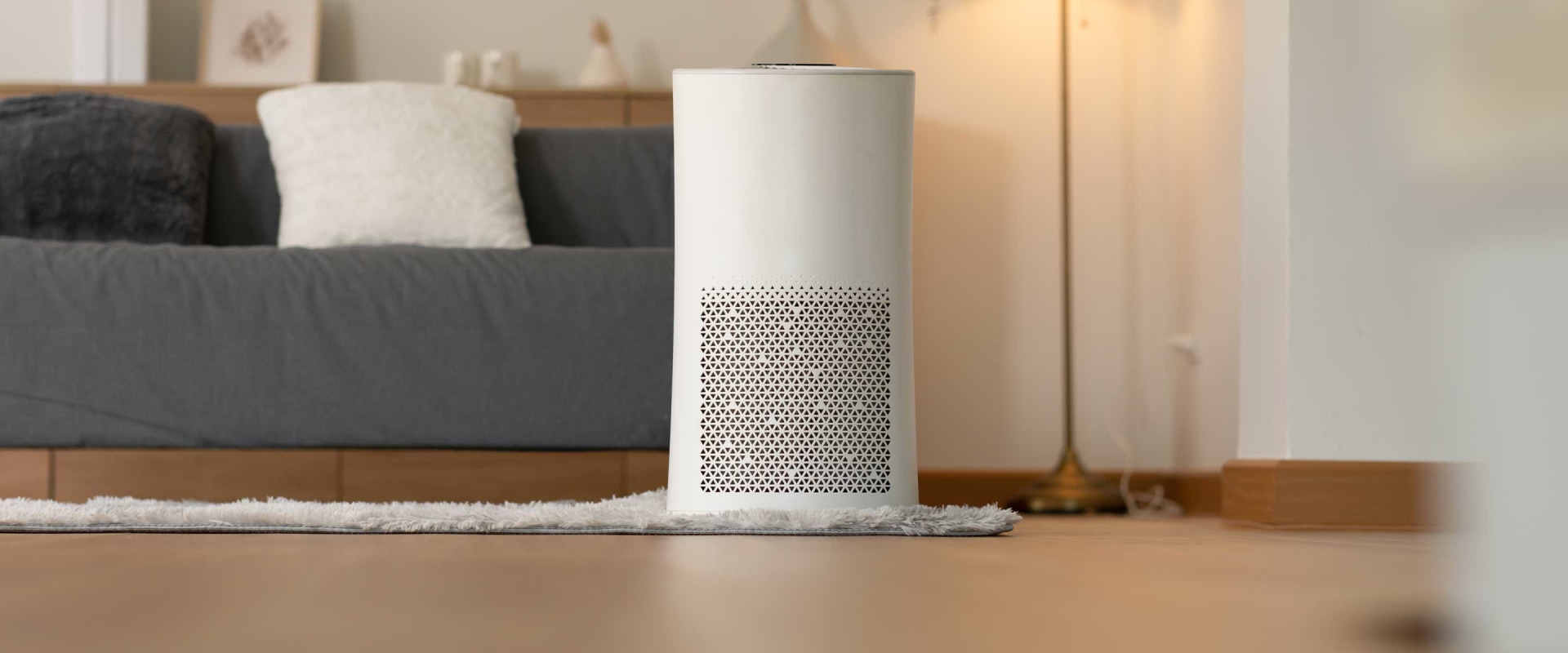 The Ultimate Guide to Choosing Between an Ionizer or HEPA Filter Air Purifier
