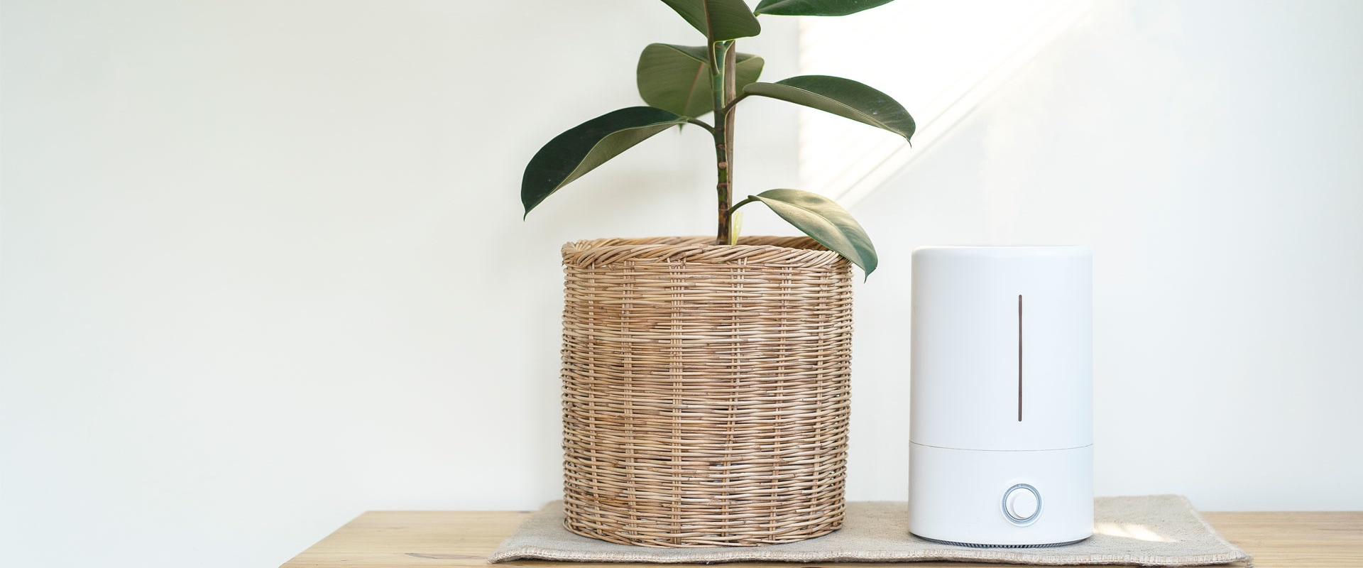 Hepa vs Ionic: Which Air Purifier is Better?