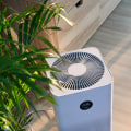 The Benefits of Running Your Air Purifier All the Time