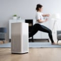 Air Purifiers vs Ionizers: Which is Better?